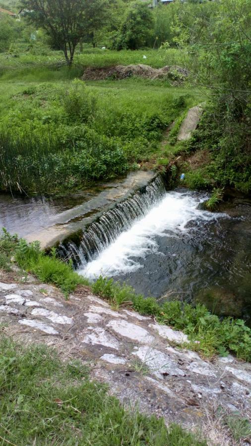 Guest House Green View Pirot Esterno foto